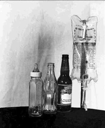 4 stages of life